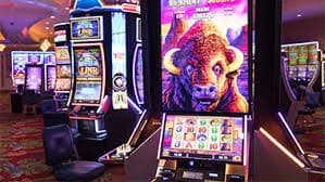 23bet17 23bet17